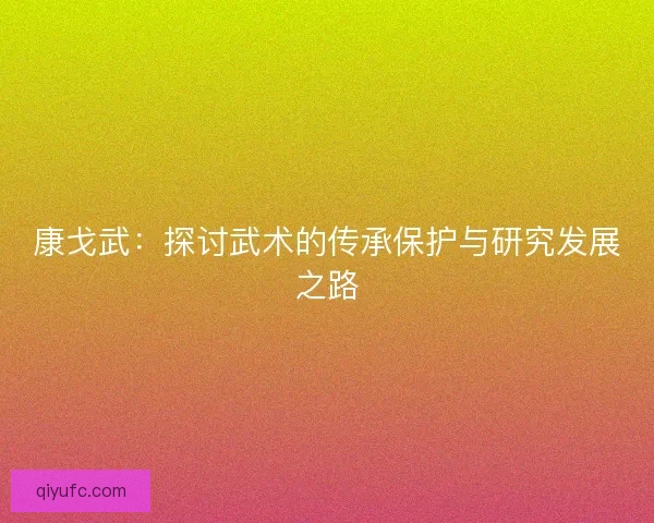 康戈武:探讨武术的传承保护与研究发展之路 康戈武:探讨武术的传承保护与研究发展之路